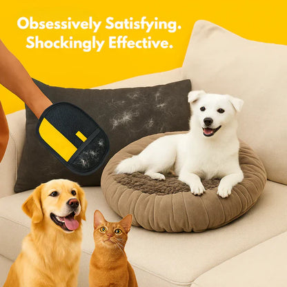 🎁 Best-Selling Pet Cleaning Glove 🐈‍⬛