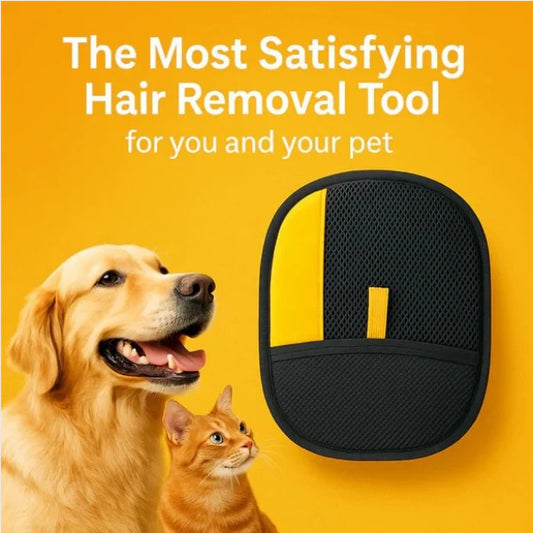 🎁 Best-Selling Pet Cleaning Glove 🐈‍⬛